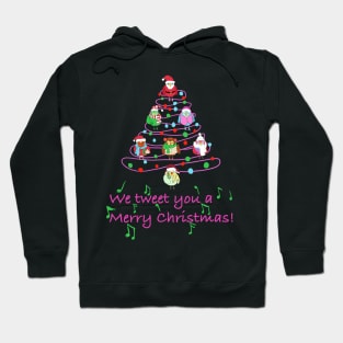 Merry Christmas birds Hoodie